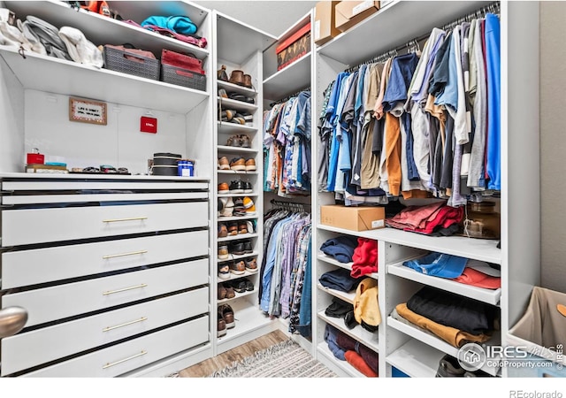 walk in closet featuring wood finished floors