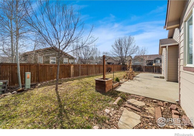 view of yard featuring a fenced backyard and a patio