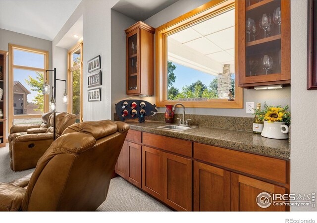 39658 Ridge Park Dr, Severance, CO 80610 - bar featuring a sink and light carpet