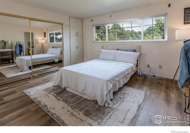 bedroom featuring a closet, multiple windows, and wood finished floors