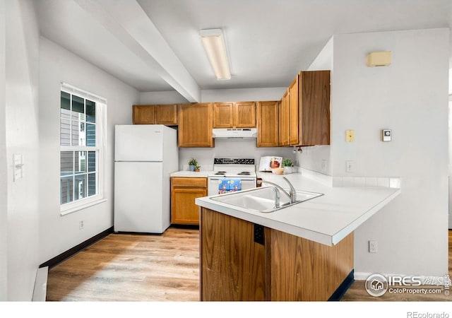 3565 Windmill Dr Unit 5, Fort Collins, CO 80526 - kitchen featuring white appliances, under cabinet range hood, a sink, brown cabinetry, and a peninsula