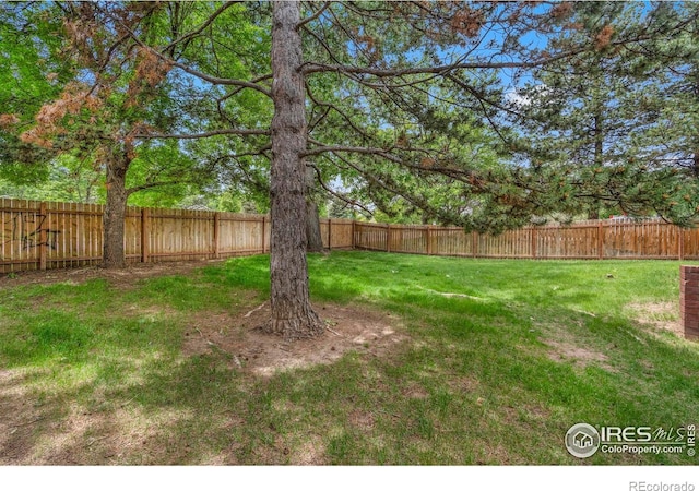 3565 Windmill Dr Unit 5, Fort Collins, CO 80526 - view of yard