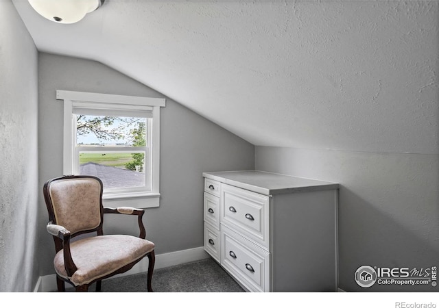 36340 County Road 49, Eaton, CO 80615 - living area featuring lofted ceiling, a textured ceiling, and dark colored carpet