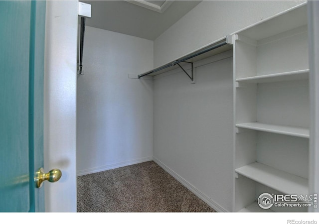 spacious closet with carpet floors