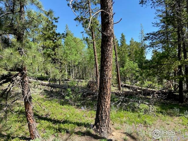 1118 Copperdale Ln, Golden, CO 80403