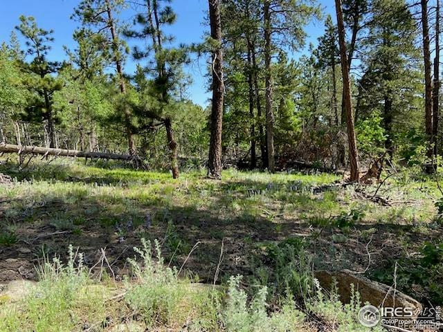 1118 Copperdale Ln, Golden, CO 80403