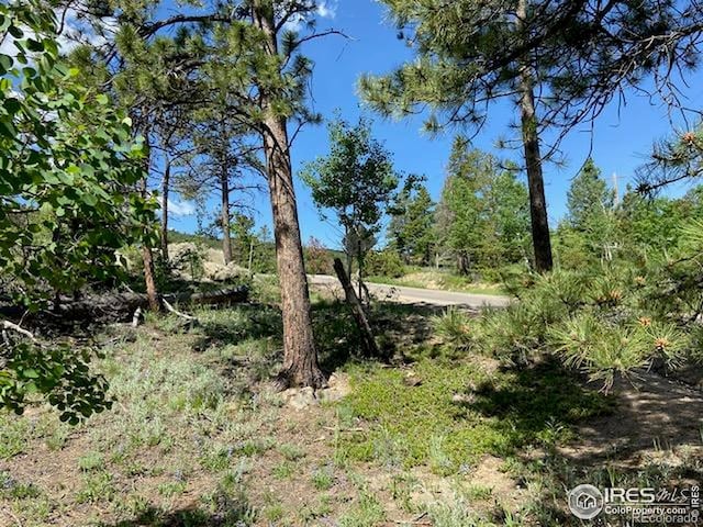 1118 Copperdale Ln, Golden, CO 80403