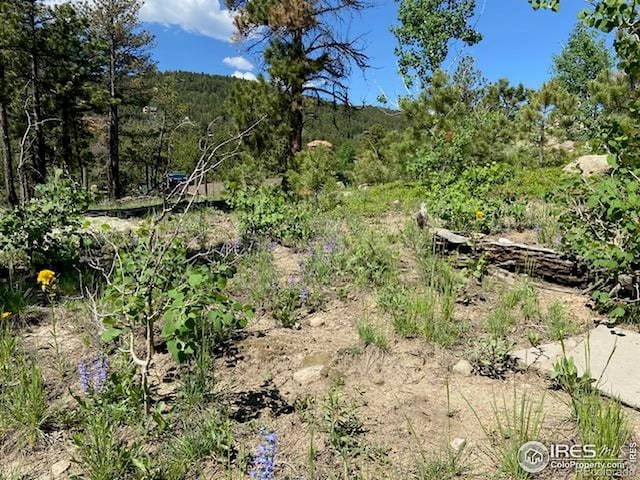 1118 Copperdale Ln, Golden, CO 80403
