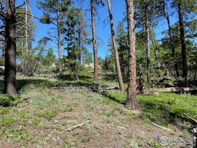 1118 Copperdale Ln, Golden, CO 80403