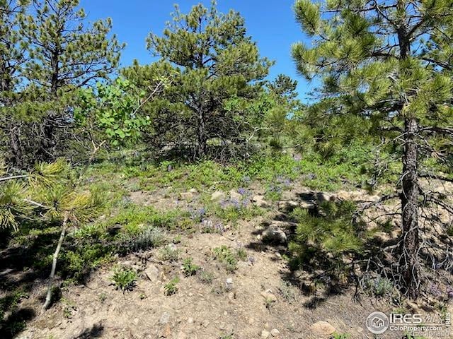 1118 Copperdale Ln, Golden, CO 80403