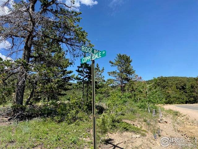 1118 Copperdale Ln, Golden, CO 80403