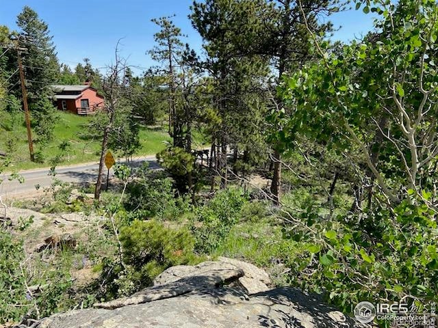 1118 Copperdale Ln, Golden, CO 80403