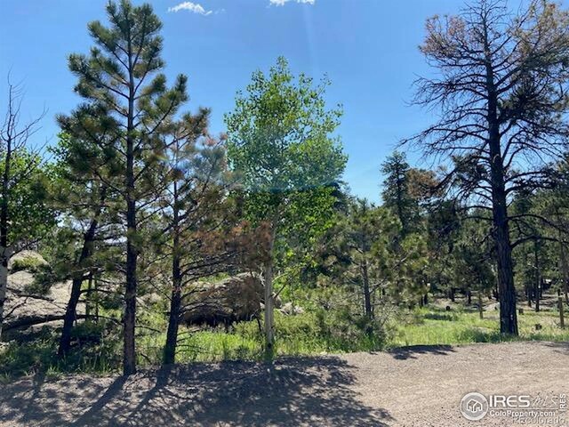 1118 Copperdale Ln, Golden, CO 80403