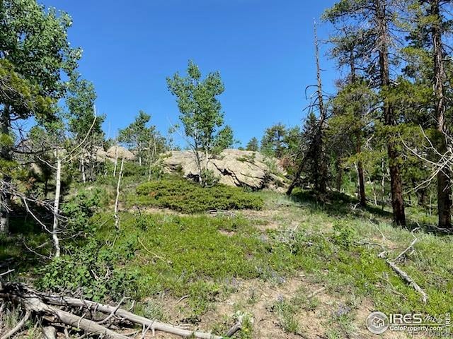 1118 Copperdale Ln, Golden, CO 80403