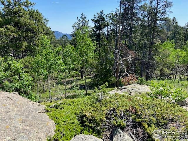 1118 Copperdale Ln, Golden, CO 80403