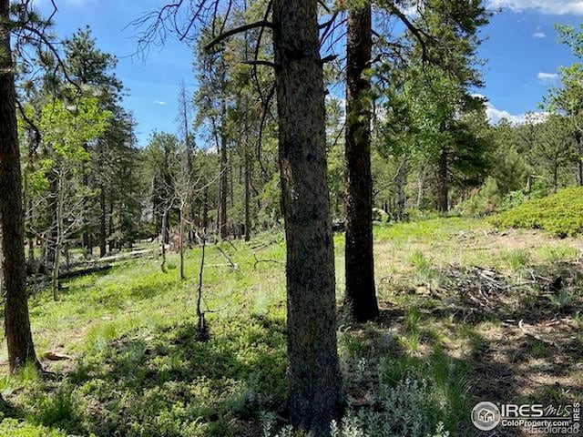 1118 Copperdale Ln, Golden, CO 80403