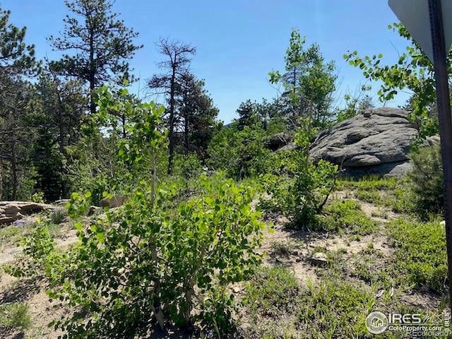 1118 Copperdale Ln, Golden, CO 80403