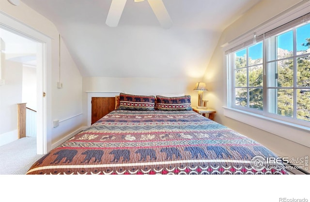 490 Valley Rd, Estes Park, CO 80517 - photo 14