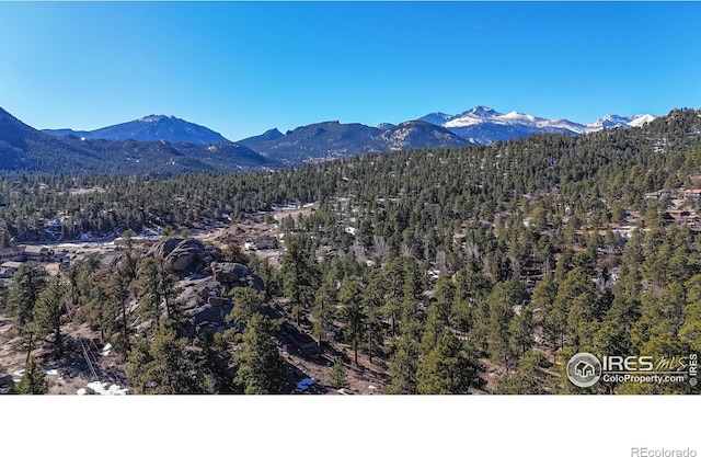 490 Valley Rd, Estes Park, CO 80517 - photo 35