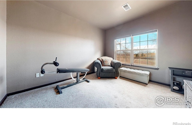 exercise area with baseboards, visible vents, and carpet flooring