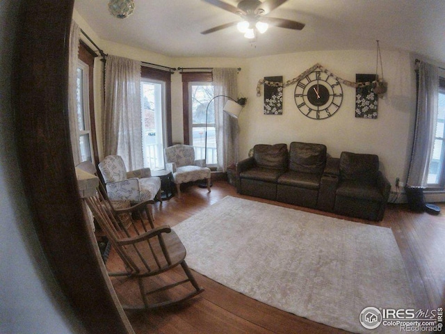 living area with ceiling fan and wood finished floors