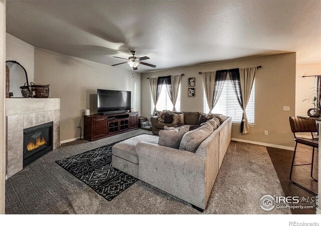 6834 Blue Spruce St, Frederick, CO 80530 - photo 8