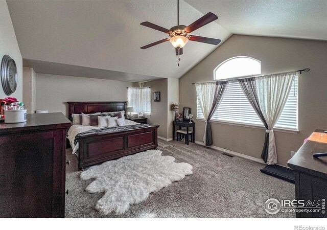 6834 Blue Spruce St, Frederick, CO 80530 - photo 17