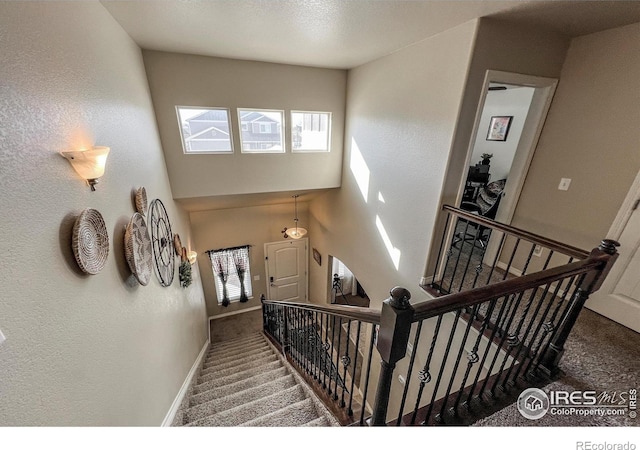 6834 Blue Spruce St, Frederick, CO 80530 - photo 18