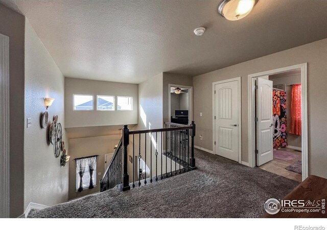 6834 Blue Spruce St, Frederick, CO 80530 - photo 20