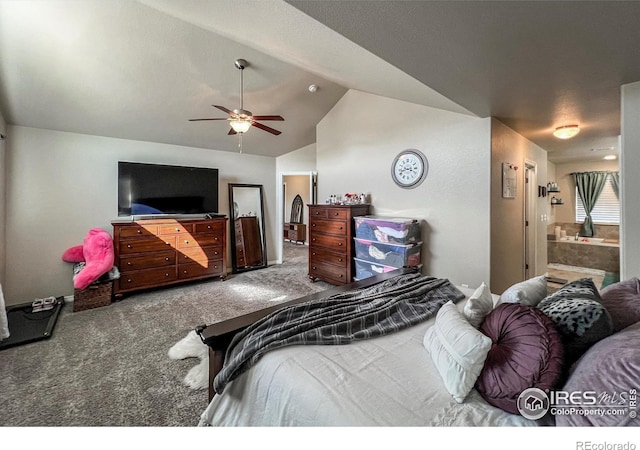 6834 Blue Spruce St, Frederick, CO 80530 - photo 22