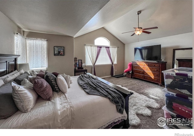6834 Blue Spruce St, Frederick, CO 80530 - photo 23
