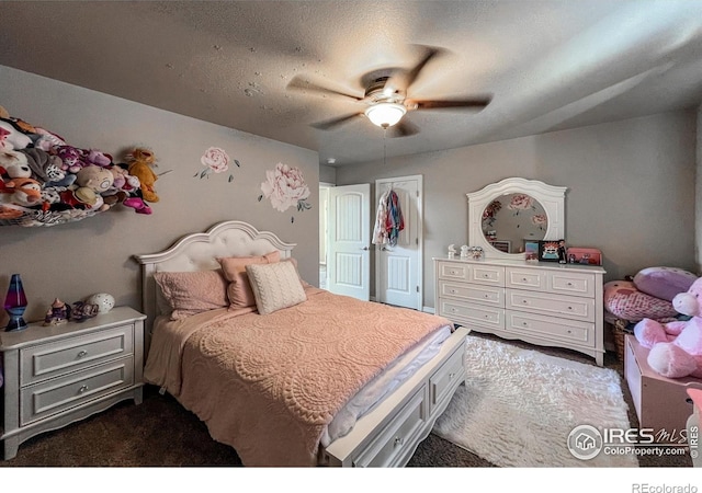 6834 Blue Spruce St, Frederick, CO 80530 - photo 27