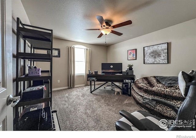 6834 Blue Spruce St, Frederick, CO 80530 - photo 29
