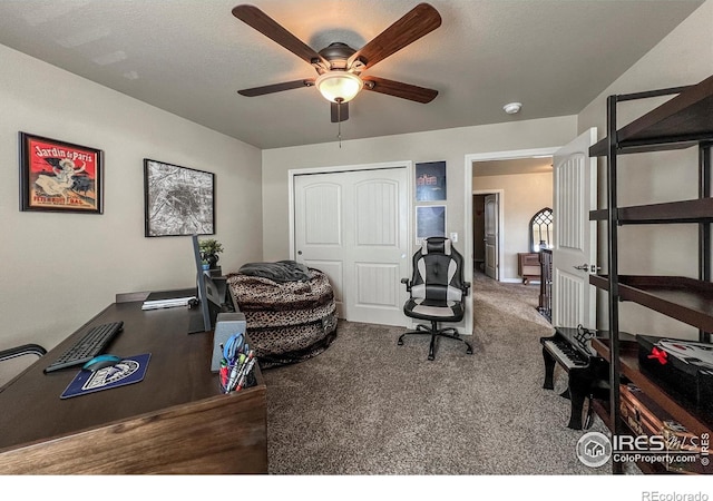 6834 Blue Spruce St, Frederick, CO 80530 - photo 30