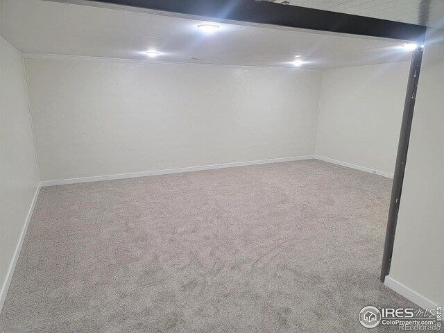 finished below grade area with crown molding, baseboards, and carpet