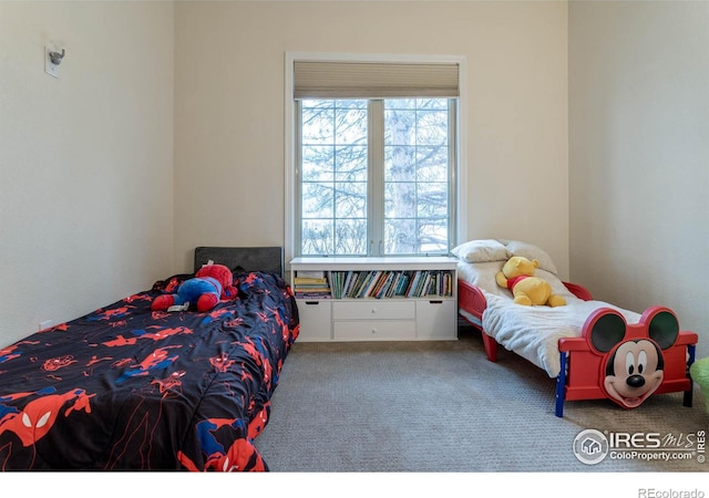 bedroom with carpet floors