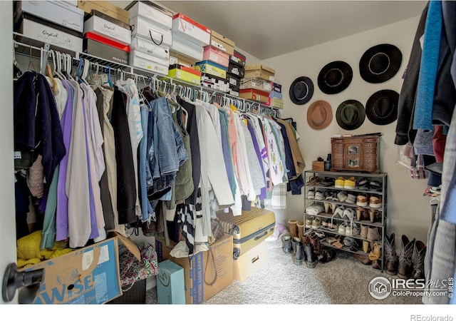 spacious closet featuring carpet