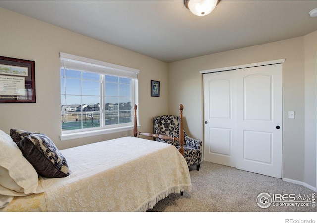 bedroom featuring carpet and a closet