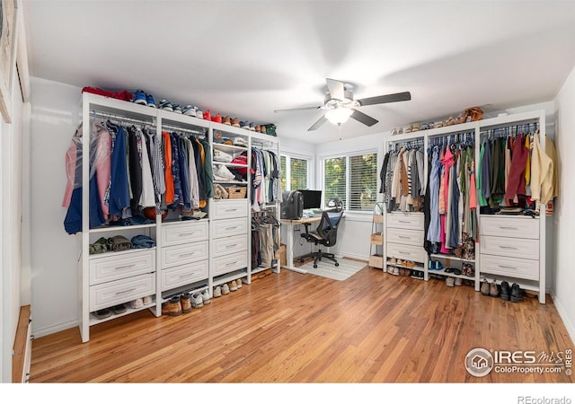 spacious closet with a ceiling fan and light wood finished floors