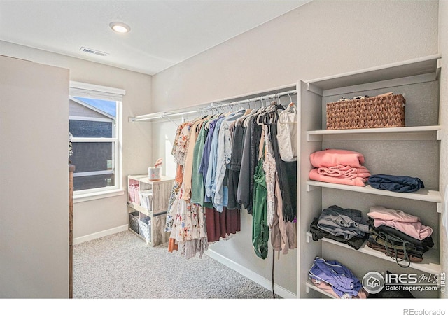 spacious closet featuring visible vents and carpet floors