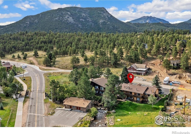 bird's eye view with a wooded view and a mountain view