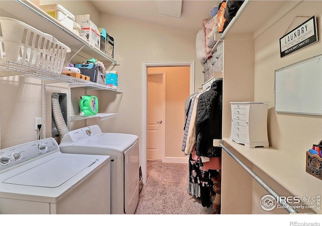 washroom featuring laundry area, carpet flooring, and independent washer and dryer