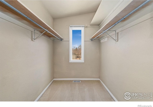 spacious closet with carpet and visible vents