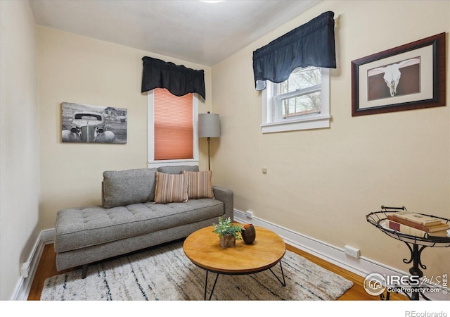 living room featuring baseboards and wood finished floors