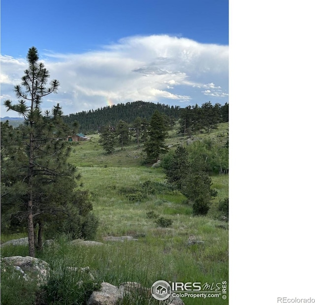 view of mountain feature with a view of trees