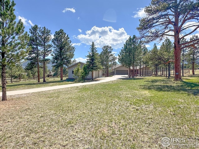 871 E Ln, Estes Park, CO 80517 - view of green lawn