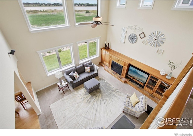 3916 Fowler Ln, Longmont, CO 80503 - photo 28