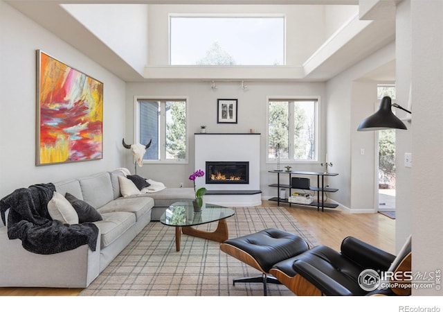 living room with a glass covered fireplace, wood finished floors, a healthy amount of sunlight, and baseboards