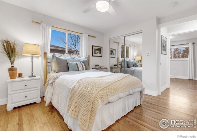 bedroom featuring light wood finished floors, multiple windows, and a closet