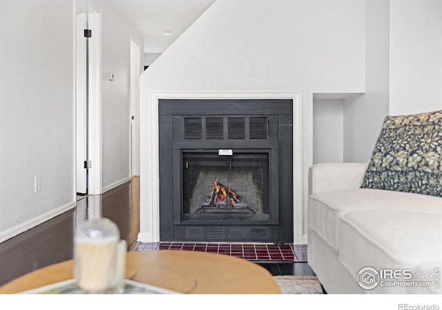 room details featuring a fireplace with flush hearth, wood finished floors, and baseboards